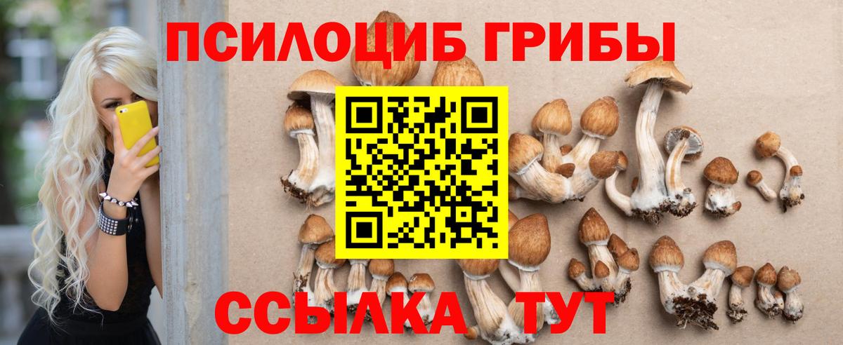 Димитровград  Галлюциногенные грибы ЛСД  наркотики  Вход с VPN 
